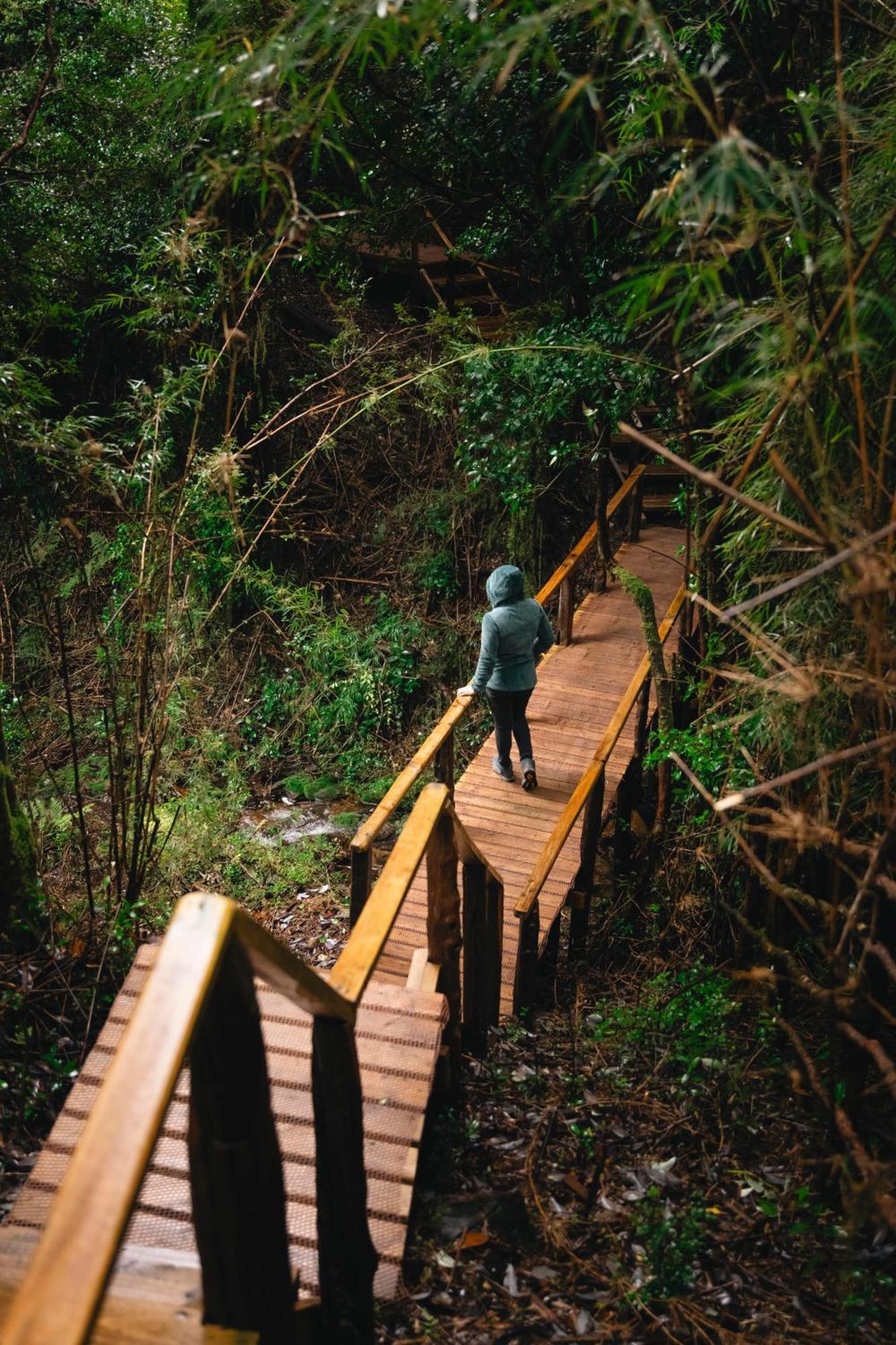 Puente Palos San Pedro 卡斯特鲁 外观 照片